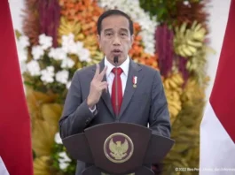 Aktif Redam Konflik Ukraina-Rusia, Jokowi Dinilai Layak Raih Nobel Perdamaian