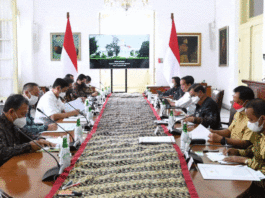 Proyek Strategis Nasional Jokowi Kurangi Kemiskinan