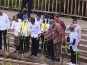 Sambut KTT G20, Jokowi Siapkan 6 Juta Bibit Nursery