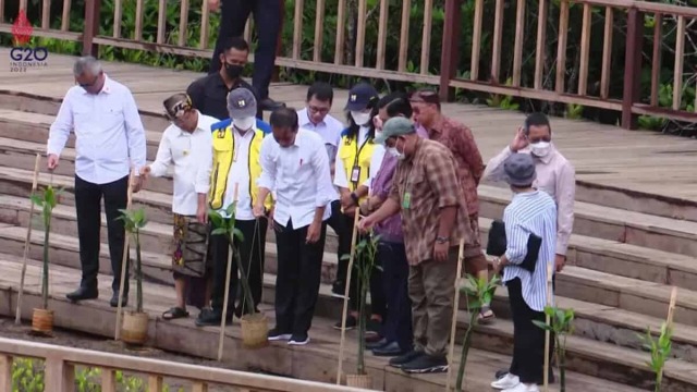 Sambut KTT G20, Jokowi Siapkan 6 Juta Bibit Nursery