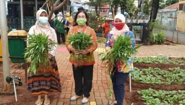 RPTRA Puspa Indah Panen Sayur-mayur di Tengah Pandemi