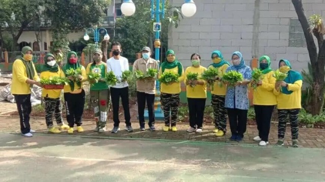 RPTRA Kelurahan Cengkareng Timur, Panen 69 kg Sayur Mayur