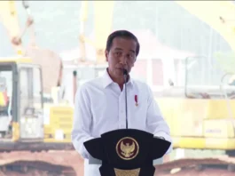 Alasan Jokowi Pilih Haru Budi Hartono Sebagai Pj Gubernur Dki Jakarta