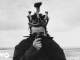 Lirik Lagu Part Of The Band dan Terjemahan - The 1975