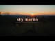 Lirik Lagu Wish I Didn't Know You - Shy Martin