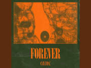 Lirik Lagu Forever - Coldiac